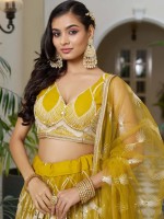 Mustard Butterfly Net Lehenga Choli